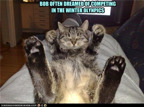 BOB OFTEN DREAMED