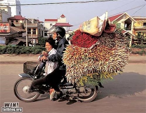 Transport WIN