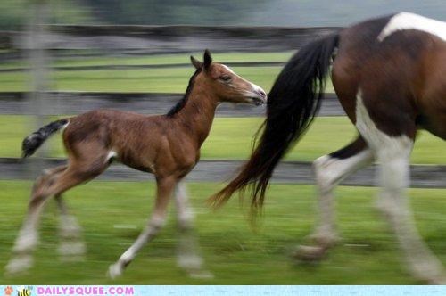 Running Home to Mother