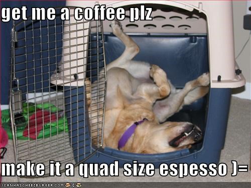 get me a coffee plz  make it a quad size espesso )=