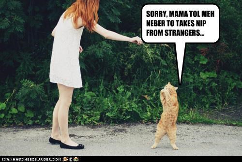 SORRY, MAMA TOL MEH NEBER TO TAKES NIP FROM STRANGERS...