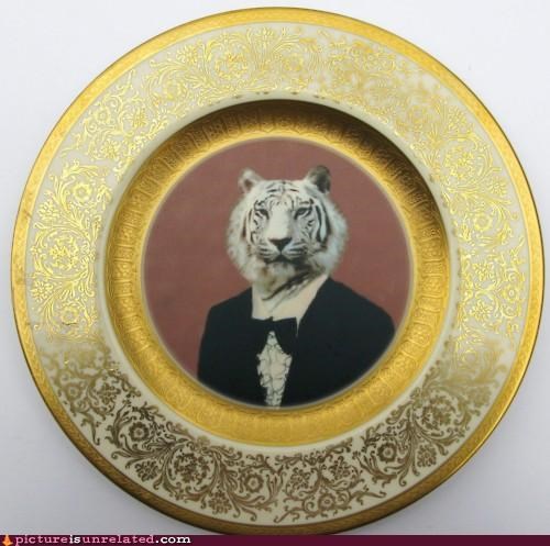 Do You Like My New China?