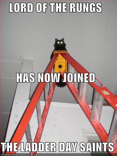 LORD OF THE RUNGS