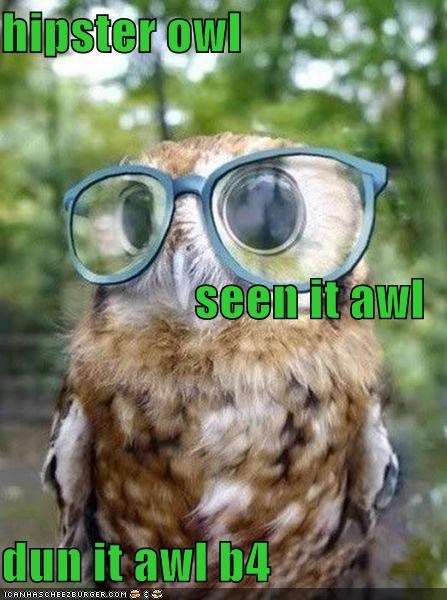 hipster owl seen it awl dun it awl b4