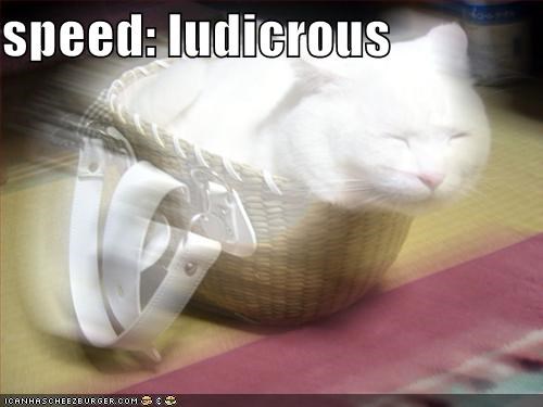 speed: