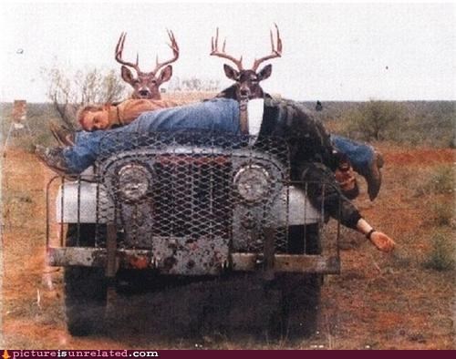 Oh Deer!