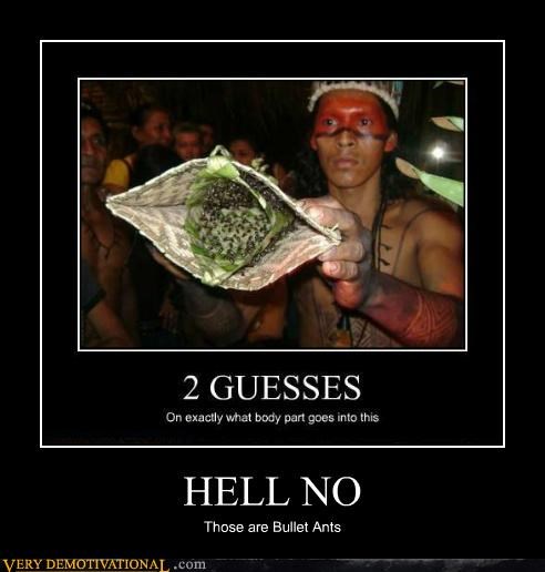 HELL NO