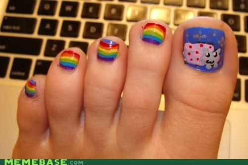 The Internet IRL: Nyan TOES!!!!!