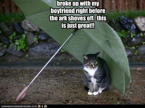 broke up