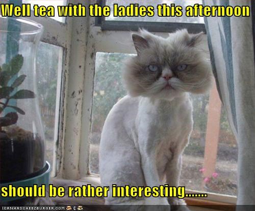 Well tea with the ladies