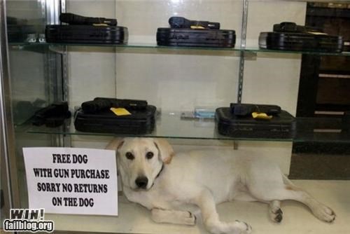 Free Dog WIN