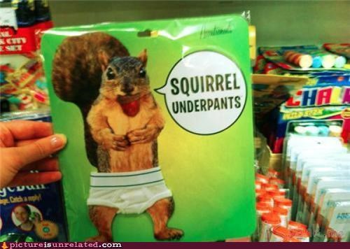 The best Underpants