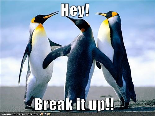 Hey!  Break it up!!