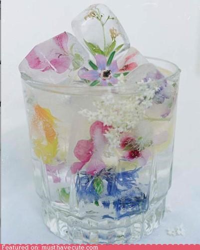 Epicute: Floral Ice