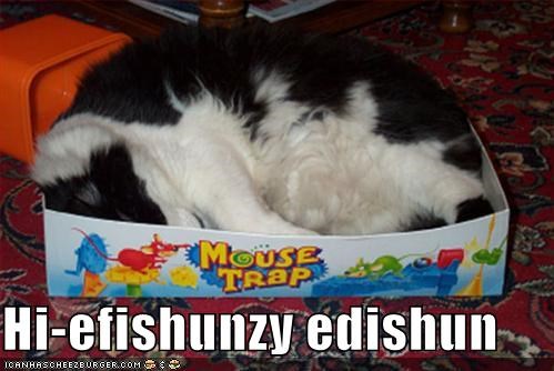 Hi-efishunzy edishun