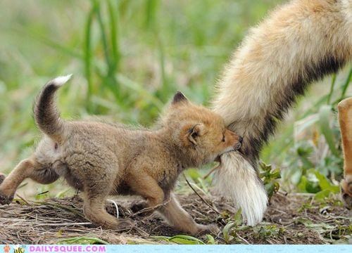 Wait for Me, Mama!