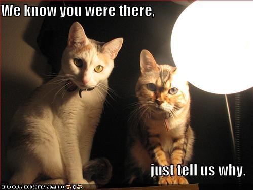 We know