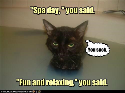 "fun" is subjective