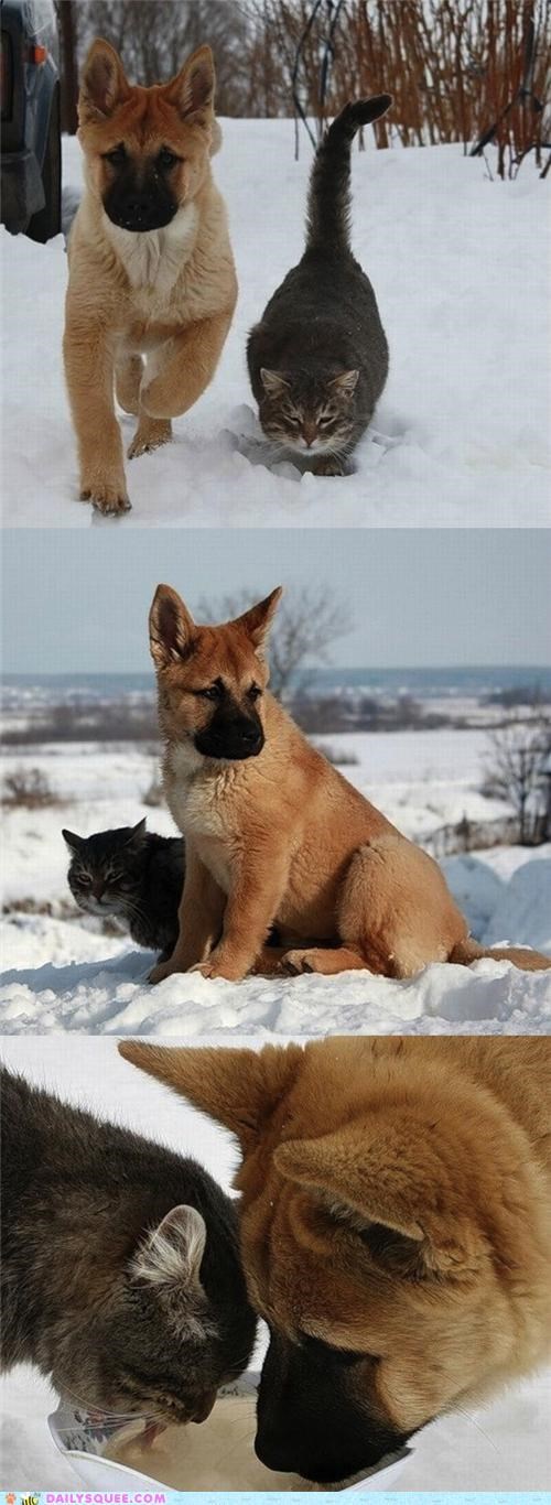 Friends Through All Kinds of Weather