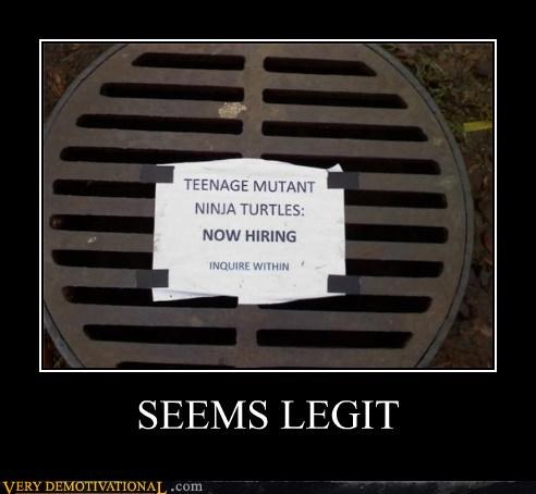 SEEMS LEGIT