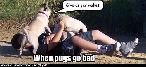Give us yer wallet!