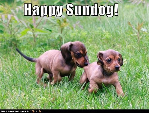 Happy Sundog!