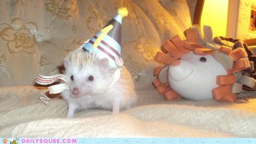 Happy Birthday to Me!