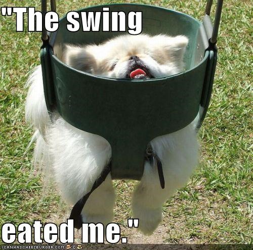 "The swing  eated me."