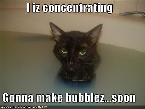 I iz concentrating  Gonna make bubblez...soon