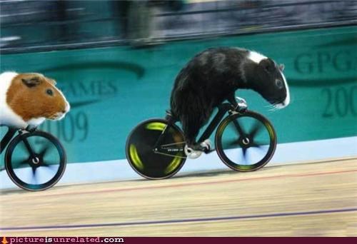 Sweet Race!