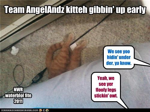 Team AngelAndz kitteh gibbin' up early
