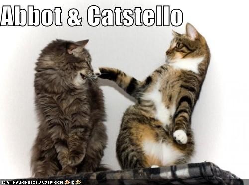Abbot & Catstello