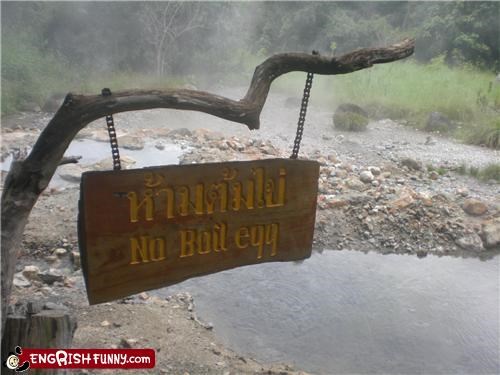 Get Your Own Stove