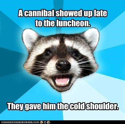 Lame Pun Coon: They Avoided a Heated Debate