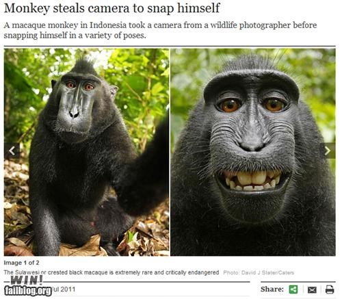 Completely Relevant News: Say Banana!