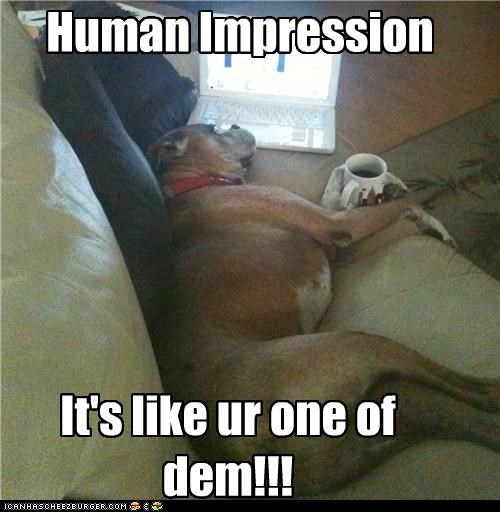 Human Impression