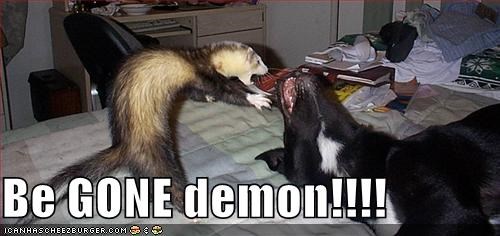 Be GONE demon!!!!