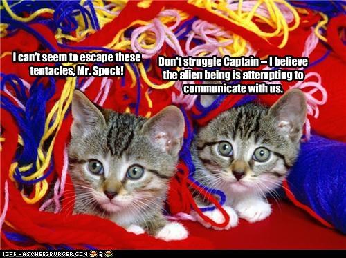 If Animals Played Star Trek #1