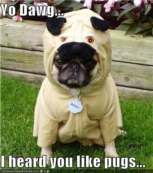 Yo Dawg...  I heard you like pugs...