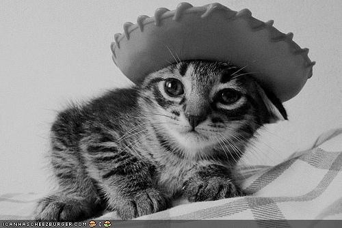 Cyoot Kitteh of teh Day: Cowboy Cat