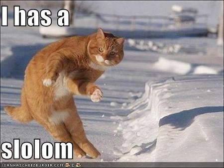 I has a