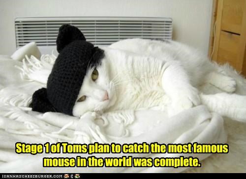 To catch a mouse