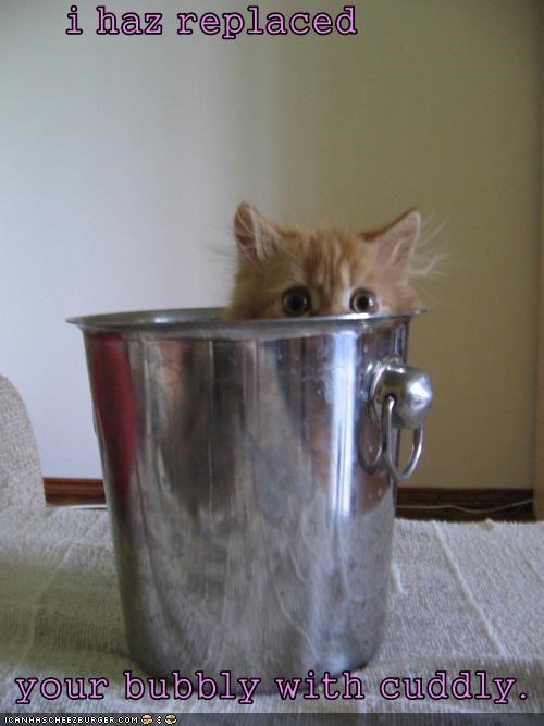 i haz replaced