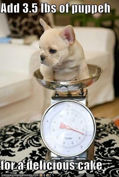 Add 3.5 lbs of puppeh  for a delicious cake