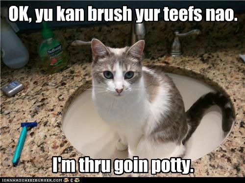 OK, yu kan brush