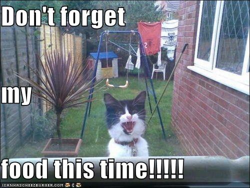 Don't forget my food this time!!!!!