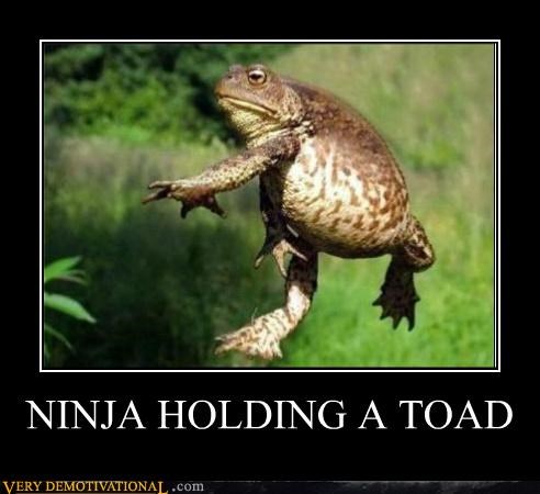 NINJA HOLDING A TOAD