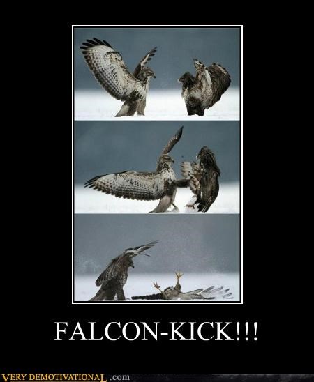 FALCON-KICK!!!