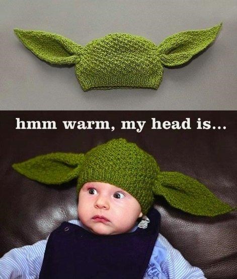 Yoda Head Warmer of the Day