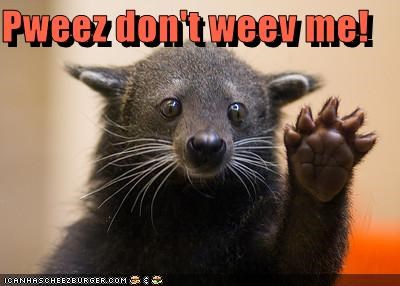 Pweez don't weev me!